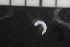  (Marionina sp - CE23597)  @11 [ ] CreativeCommons - Attribution Share-Alike (2017) Christer Erséus University of Gothenburg