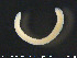  ( - CE24971)  @12 [ ] CreativeCommons - Attribution Non-Commercial Share-Alike (2015) NTNU University Museum, Department of Natural History NTNU University Museum, Department of Natural History