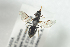  ( - BUAPI54)  @13 [ ] CreativeCommons - Attribution Non-Commercial Share-Alike (2016) Arnstein Staverlokk Norwegian Institute of Nature Research