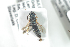  ( - BUAPI81)  @12 [ ] CreativeCommons - Attribution Non-Commercial Share-Alike (2016) Arnstein Staverlokk Norwegian Institute of Nature Research