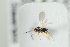  ( - NOFIG1228)  @12 [ ] CreativeCommons - Attribution Non-Commercial Share-Alike (2017) Arnstein Staverlokk Norwegian Institute of Nature Research