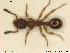  ( - NOFOR005)  @12 [ ] CreativeCommons - Attribution Non-Commercial Share-Alike (2013) Arnstein Staverlokk Norwegian Institute of Nature Research