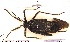  ( - NOHET503)  @11 [ ] Creative Commons  Attribution Non-Commercial Share-Alike (2025) NTNU University Museum, Department of Natural History NTNU University Museum, Department of Natural History
