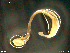  ( - CE35400)  @11 [ ] CreativeCommons - Attribution Non-Commercial Share-Alike (2018) Christer Erseus University of Gothenburg