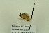  ( - BCZMBNLep0075)  @12 [ ] Copyright (2014) Univers. of Bergen, Natural History Collection Univers. of Bergen, Natural History Collection