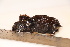  ( - TROM_2285)  @11 [ ] CreativeCommons - Attribution Non-Commercial Share-Alike (2016) Unspecified Tromsø University Museum