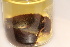  ( - TROM_2291)  @11 [ ] CreativeCommons - Attribution Non-Commercial Share-Alike (2016) Unspecified Tromsø University Museum