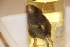  ( - TROM_2153)  @11 [ ] CreativeCommons - Attribution Non-Commercial Share-Alike (2016) Unspecified Tromsø University Museum