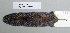  ( - NOMAM-045)  @11 [ ] Unspecified (default): All Rights Reserved  Unspecified Unspecified