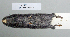  ( - NOMAM-045)  @11 [ ] Unspecified (default): All Rights Reserved  Unspecified Unspecified