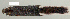  (Sciurinae - NOMAM-034)  @14 [ ] Unspecified (default): All Rights Reserved  Unspecified Unspecified