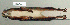  ( - NOMAM-034)  @13 [ ] Unspecified (default): All Rights Reserved  Unspecified Unspecified