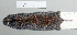  ( - NOMAM-046)  @13 [ ] Unspecified (default): All Rights Reserved  Unspecified Unspecified