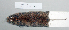  ( - NOMAM-044)  @13 [ ] Unspecified (default): All Rights Reserved  Unspecified Unspecified