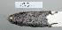  (Myodes glareolus - NOMAM-044)  @13 [ ] Unspecified (default): All Rights Reserved  Unspecified Unspecified