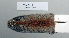  ( - NOMAM-041)  @13 [ ] Unspecified (default): All Rights Reserved  Unspecified Unspecified