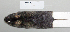  ( - NOMAM-042)  @12 [ ] Unspecified (default): All Rights Reserved  Unspecified Unspecified