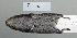  ( - NOMAM-042)  @12 [ ] Unspecified (default): All Rights Reserved  Unspecified Unspecified