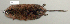  ( - NOMAM-049)  @11 [ ] Unspecified (default): All Rights Reserved  Unspecified Unspecified