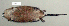  ( - NOMAM-049)  @11 [ ] Unspecified (default): All Rights Reserved  Unspecified Unspecified