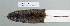  (Apodemus - NOMAM-062)  @14 [ ] Unspecified (default): All Rights Reserved  Unspecified Unspecified