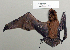  ( - NOMAM-027)  @13 [ ] Unspecified (default): All Rights Reserved  Unspecified Unspecified