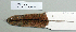  ( - NOMAM-066)  @13 [ ] Unspecified (default): All Rights Reserved  Unspecified Unspecified