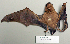 ( - NOMAM-028)  @13 [ ] Unspecified (default): All Rights Reserved  Unspecified Unspecified
