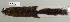  ( - NOMAM-035)  @11 [ ] Unspecified (default): All Rights Reserved  Unspecified Unspecified