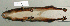  ( - NOMAM-035)  @11 [ ] Unspecified (default): All Rights Reserved  Unspecified Unspecified
