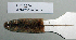  ( - NOMAM-058)  @11 [ ] Unspecified (default): All Rights Reserved  Unspecified Unspecified