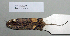 ( - NOMAM-069)  @13 [ ] Unspecified (default): All Rights Reserved  Unspecified Unspecified