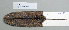  ( - NOMAM-065)  @11 [ ] Unspecified (default): All Rights Reserved  Unspecified Unspecified