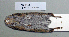  ( - NOMAM-065)  @11 [ ] Unspecified (default): All Rights Reserved  Unspecified Unspecified
