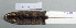  ( - NOMAM-063)  @11 [ ] Unspecified (default): All Rights Reserved  Unspecified Unspecified