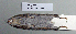  ( - NOMAM-063)  @11 [ ] Unspecified (default): All Rights Reserved  Unspecified Unspecified