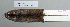  ( - NOMAM-064)  @13 [ ] Unspecified (default): All Rights Reserved  Unspecified Unspecified