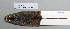  ( - NOMAM-061)  @11 [ ] Unspecified (default): All Rights Reserved  Unspecified Unspecified