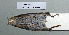  ( - NOMAM-061)  @11 [ ] Unspecified (default): All Rights Reserved  Unspecified Unspecified