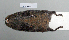  ( - NOMAM-047)  @13 [ ] Unspecified (default): All Rights Reserved  Unspecified Unspecified
