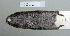  (Microtus levis - NOMAM-054)  @13 [ ] Unspecified (default): All Rights Reserved  Unspecified Unspecified