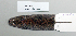  ( - NOMAM-043)  @11 [ ] Unspecified (default): All Rights Reserved  Unspecified Unspecified
