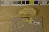  ( - NHMO-DMA-421)  @11 [ ] CreativeCommons - Attribution Non-Commercial Share-Alike (2017) Unspecified University of Oslo, Natural History Museum