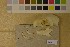  ( - NHMO-DMA-414)  @11 [ ] CreativeCommons - Attribution Non-Commercial Share-Alike (2017) Unspecified University of Oslo, Natural History Museum