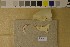  ( - NHMO-DMA-419)  @11 [ ] CreativeCommons - Attribution Non-Commercial Share-Alike (2017) Unspecified University of Oslo, Natural History Museum