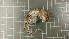  ( - NHMO-DMA-668)  @11 [ ] CreativeCommons - Attribution Non-Commercial Share-Alike (2017) Unspecified University of Oslo, Natural History Museum