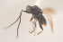  ( - NOCER-166)  @11 [ ] CC-NC-SA (2021) Arnstein Staverlokk Norwegian Institute of Nature Research