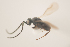 ( - NOCER-175)  @11 [ ] CC-NC-SA (2021) Arnstein Staverlokk Norwegian Institute of Nature Research