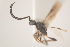  ( - NOCER-189)  @11 [ ] CC-NC-SA (2021) Arnstein Staverlokk Norwegian Institute of Nature Research