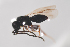  ( - NOCER-459)  @11 [ ] CC-NC-SA (2021) Arnstein Staverlokk Norwegian Institute of Nature Research